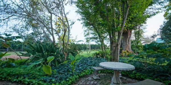 Lupus Den Country House B&B Sunland Ngoại thất bức ảnh