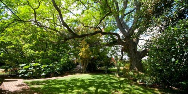 Lupus Den Country House B&B Sunland Ngoại thất bức ảnh
